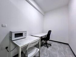 The Poiz Residences (D13), Apartment #551588151